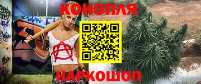 мет Шелехов