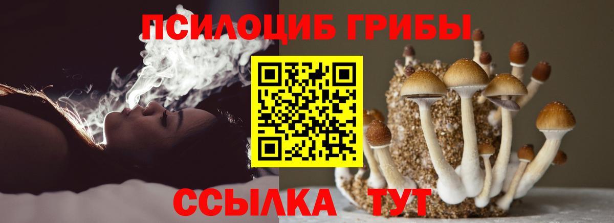 Псилоцибиновые грибы GOLDEN TEACHER  Вход с VPN  Элиста  Псилоцибиновые грибы Magic Shrooms 